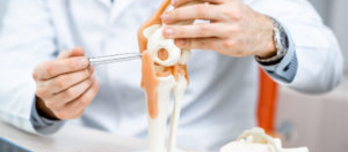 Close-up of the therapist showing knee joint model during the medical consultation